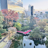 4階から見た庭