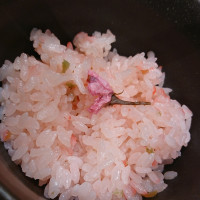 桜と小梅の春御飯