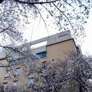 桜と茗溪館|465197さんの嘉ノ雅 茗渓館（かのび めいけいかん）-旧茗渓会館-の写真(447906)