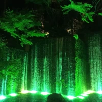 夜のお庭はまた違った魅力があり、とても幻想的でした