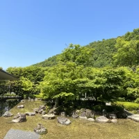 待合室から見える緑が京都らしくて素晴らしい