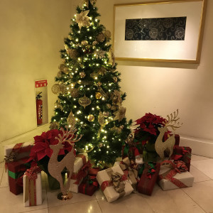 ロビーにはクリスマスツリーが！|466145さんのレセプションハウス ザ・ブライトガーデン（営業終了）の写真(552953)