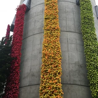 こちらもお花が綺麗に飾られています。