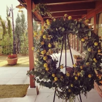 ゲスト参加グラスペディアリース