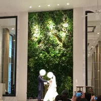天井まであるグリーン