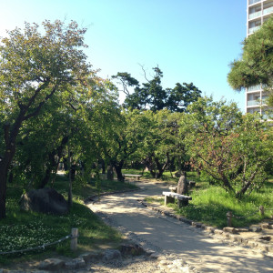 庭園の中の通路。池や橋もあり見て楽しめます|470013さんの白山神社の写真(466129)