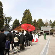 参進は雅楽の生演奏と巫女さんの先導で、親族や友人も一緒に。