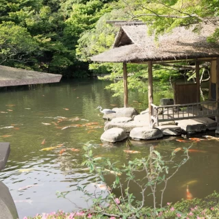 庭園の写真