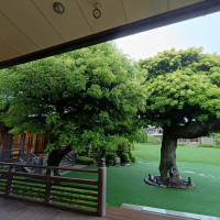 雨天のため部屋の窓から撮影