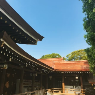現在屋根の修復工事中