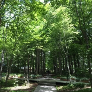 外