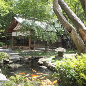神殿前には鯉が泳ぐ池がある|474312さんのSHOZANKAN（仙台 勝山館）の写真(476966)
