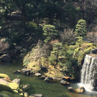 庭の滝2
