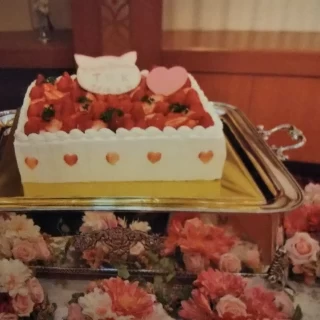 料金を抑えて、新郎新婦が好きな猫のチョコを載せたシンプル苺ケ