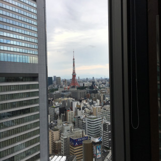 少し遠いけど東京タワー見えます