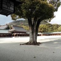橿原神宮内