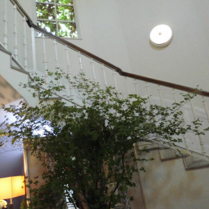 式場内の階段|476429さんの神戸旧居留地ヴィラブランシュの写真(490498)
