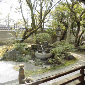 庭園|476429さんの八坂神社 常磐新殿の写真(697732)