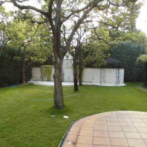 ガーデン 真ん中に木が三本あります|476429さんのメゾン・ド・タカ芦屋の写真(489869)