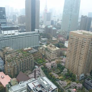 リブラからは東京タワーも