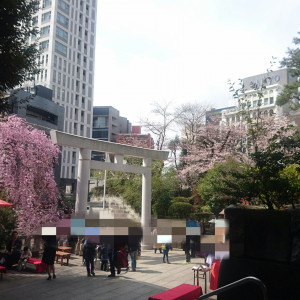 桜の時期には茶屋もでます|476836さんの乃木神社・乃木會館の写真(484694)