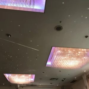 別の披露宴会場の天井
流れ星が流れています|476937さんのホテルマイステイズ宇都宮（ウエディング取扱終了）の写真(484735)
