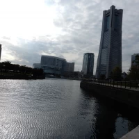 フラワーシャワー会場から