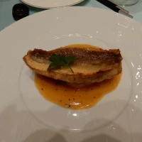 魚