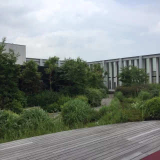 挙式後の庭