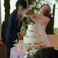 ケーキもナチュラル、背景にはサボテン