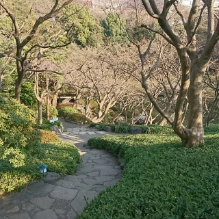 この素晴らしい景観のなか花嫁が歩いてきます。