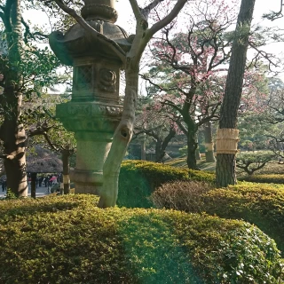 お庭1。普段もお散歩できるそうです。
