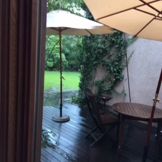 雨