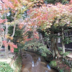 入り口の橋の周りの様子　秋は紅葉が美しいです|479697さんの五十嵐邸ガーデンの写真(522909)