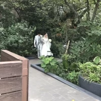 みどり豊か！