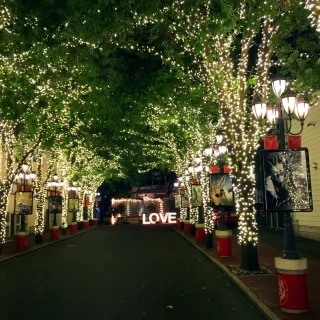 夕方からのイルミネーションも魅力的でした♡
