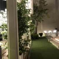 芝生っぽい地面になっています。