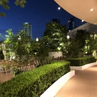 ライトアップに緑が生えて綺麗です。