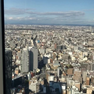 窓からの眺め