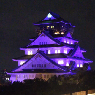 式場から見えるライトアップされた大阪城
