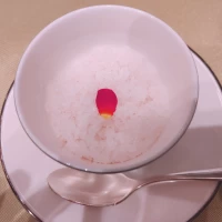 お口直しのシャーベットはさっぱりしていました