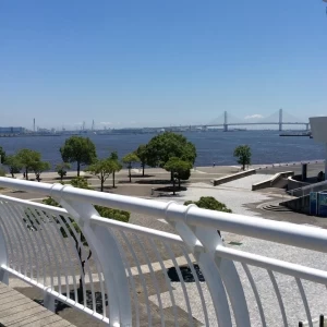ダンゼロ|482336さんのみなとみらい sea＆terrace ～DANZERO～の写真(515323)