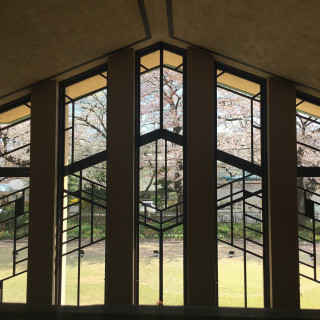 挙式会場のホールの窓です。桜の時期のものです。