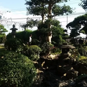 庭園です。|482925さんの旧グッゲンハイム邸の写真(519785)