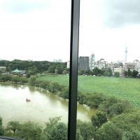 窓から上野公園が見えます。