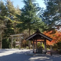 鳥居からの様子