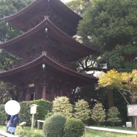 庭園に三重塔あり