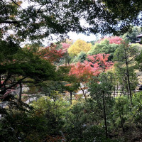 紅葉が美しい庭園