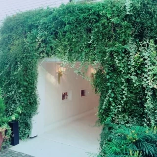 お庭のほうからとった入口の建物