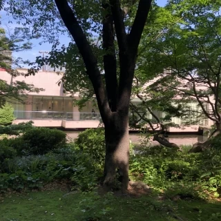 チャペルの外観
